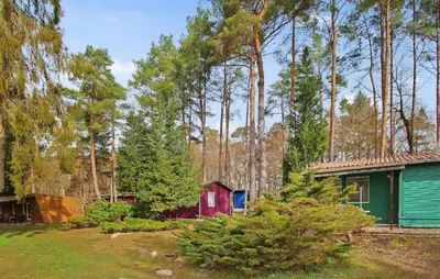Ein Garten an der Unterkunft Fh Maisgelb