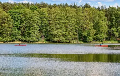 Naturlandschaft in der Nähe des Ferienhauses