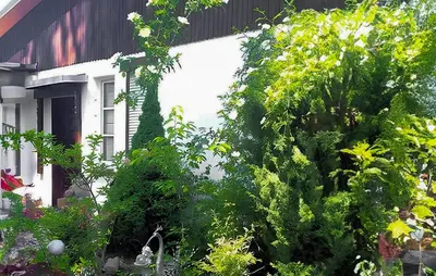Ein Garten an der Unterkunft Ferienhaus Mahlow