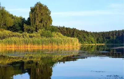 Naturlandschaft in der Nähe des Ferienhauses