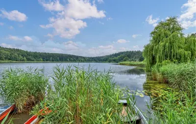 Naturlandschaft in der Nähe des Ferienhauses
