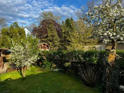 Ein Garten an der Unterkunft Cottage mit Garten