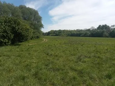 Naturlandschaft in der Nähe der Ferienwohnung