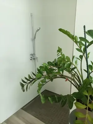 Ein Badezimmer in der Unterkunft Stadtgrün 1, Ruhiges Apartment mit Terrasse und kostenlosem Parkplatz, ideal für Berlin-Besucher