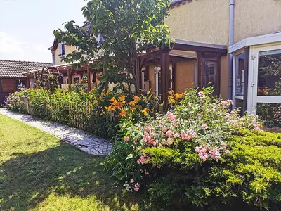 Ein Garten an der Unterkunft Gemütliche Wohnung Landlust in See-Nähe
