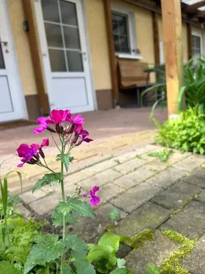 Ein Garten an der Unterkunft Gemütliche Wohnung Landlust in See-Nähe
