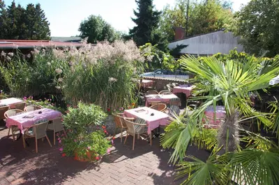 Ein Garten an der Unterkunft Hotel Da Gianni GmbH