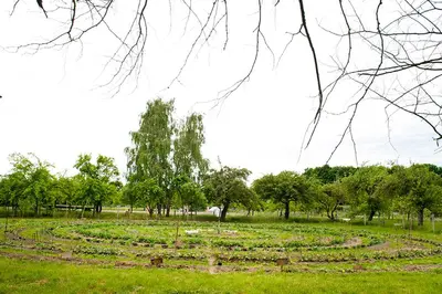 Ein Garten an der Unterkunft Umwelt Bildungszentrum Berlin