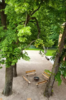 Ein Garten an der Unterkunft Umwelt Bildungszentrum Berlin