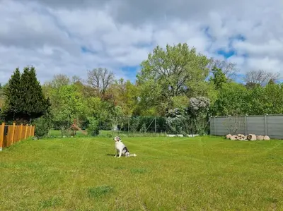 Ein Garten an der Unterkunft Glückseligkeit am Waldesrand