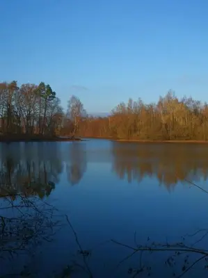 Naturlandschaft in der Nähe des Ferienhauses