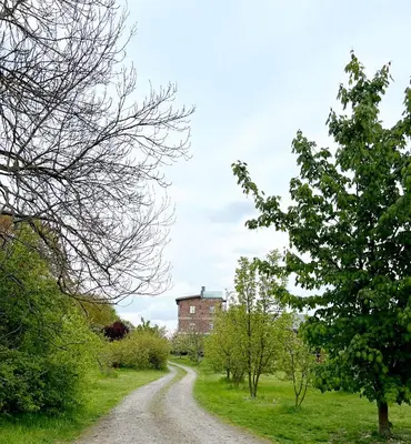 Naturlandschaft in der Nähe des Ferienhauses