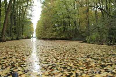 Naturlandschaft in der Nähe der Ferienwohnung