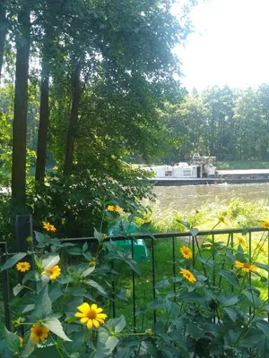 Naturlandschaft in der Nähe des Ferienhauses