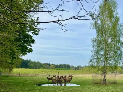 Naturlandschaft in der Nähe der Zelt-Lodge