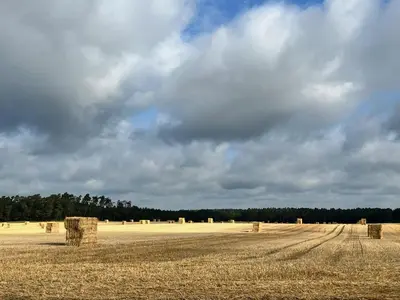 Naturlandschaft in der Nähe der Zelt-Lodge