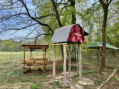 Ein Garten an der Unterkunft Baumzelt auf Bio-Bauernhof im Natur- und Sternenpark