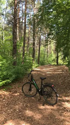 Radfahren an der Unterkunft Ferienhaus am Briesensee oder in der Nähe