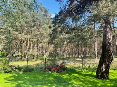 Ein Garten an der Unterkunft Ferienhaus im Wald, am Briesener See