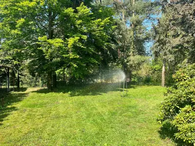 Ein Garten an der Unterkunft Ferienhaus im Wald, am Briesener See