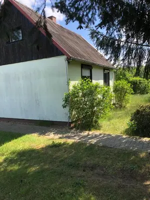 Ein Garten an der Unterkunft Haus August Schulz