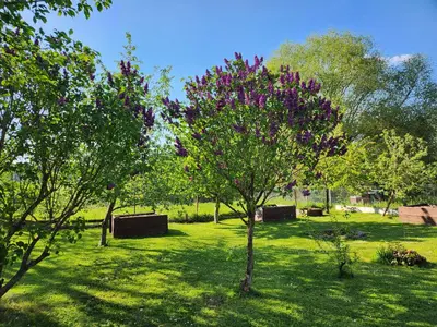 Ein Garten an der Unterkunft Ferienhaus Naturpur Chorin