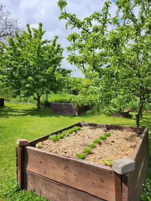 Ein Garten an der Unterkunft Ferienhaus Naturpur Chorin