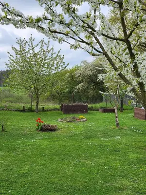 Ein Garten an der Unterkunft Ferienhaus Naturpur Chorin