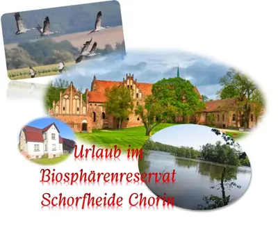 Naturlandschaft in der Nähe des Ferienhauses