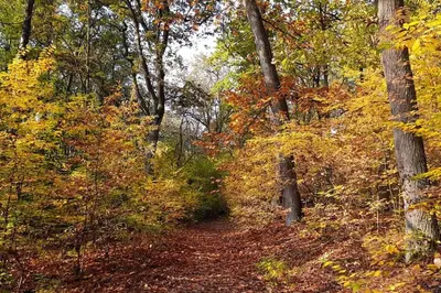 Naturlandschaft in der Nähe der Ferienwohnung
