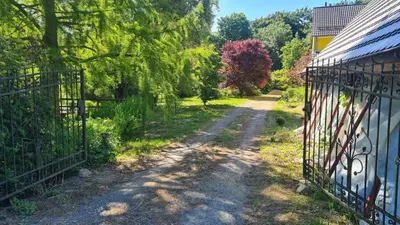 Ein Garten an der Unterkunft Natur an Metropole