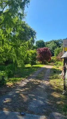 Ein Garten an der Unterkunft Natur an Metropole