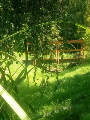 Ein Garten an der Unterkunft Natur an Metropole