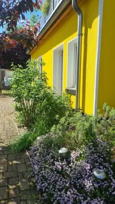 Ein Garten an der Unterkunft Natur an Metropole