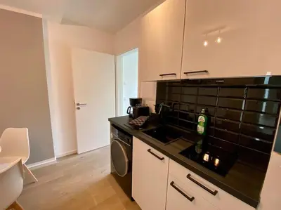 Küche/Küchenzeile in der Unterkunft Apartments am Lutherplatz