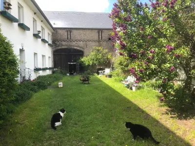 Haustiere von Gästen der Unterkunft Gartenblick im Schwalbennest