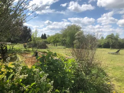 Ein Garten an der Unterkunft Gartenblick im Schwalbennest