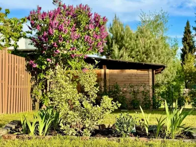 Ein Garten an der Unterkunft Ferienhaus Havelzeit in Werder an der Havel