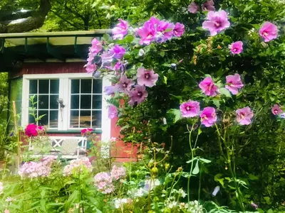 Ein Garten an der Unterkunft Studio im Haus Amselgarten