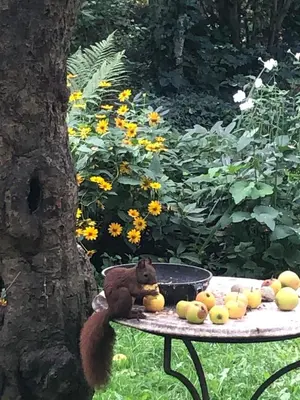 Essen in der Ferienwohnung oder in der Nähe
