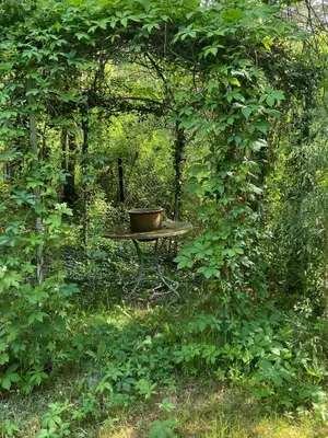 Ein Garten an der Unterkunft Studio im Haus Amselgarten