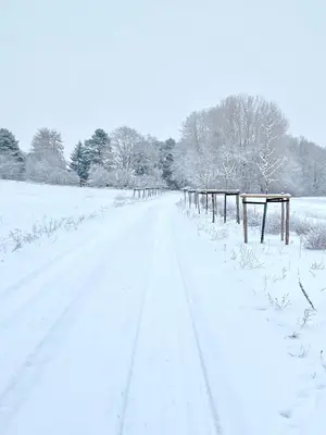 Studio im Haus Amselgarten im Winter