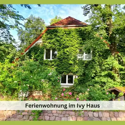 Ivy Haus