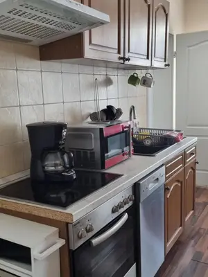 Küche/Küchenzeile in der Unterkunft Ferienwohnung am Kanuverleih