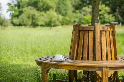 Ein Garten an der Unterkunft Apartment Premium Plus im Gustav Seitz Gästehaus