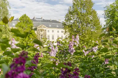 Ein Garten an der Unterkunft Studio On Top im Gustav Seitz Gästehaus