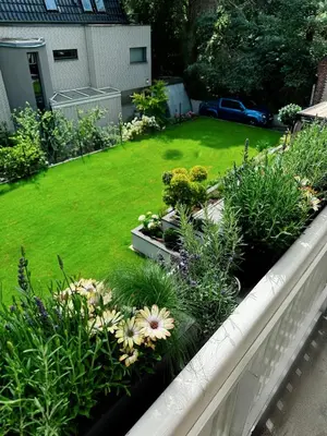 Ein Garten an der Unterkunft Garden Apartments