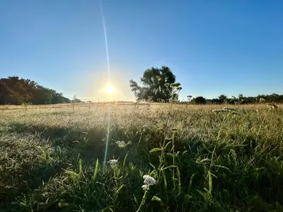 Naturlandschaft in der Nähe der Ferienwohnung