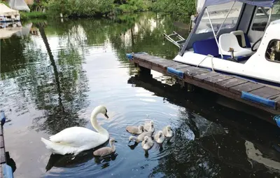 Blick auf einen Fluss in der Nähe des Ferienhauses