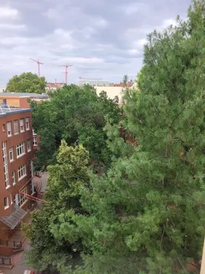 Grundriss der Unterkunft Cosy Unterkunft in ruhiger Citylage in Berlin-Mitte